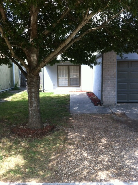 14519 Clovelly Wood in San Antonio, TX - Building Photo