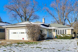 1006 Devon Ave in Park Ridge, IL - Building Photo