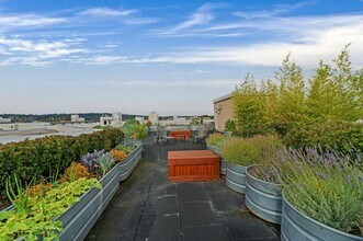 1511 NW 57th St in Seattle, WA - Building Photo - Building Photo