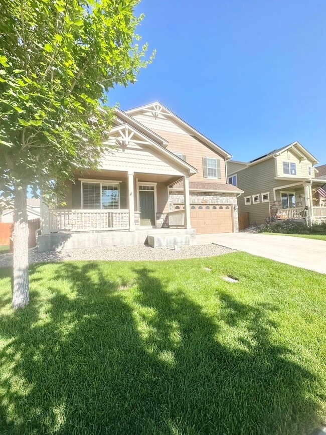 915 Campfire Dr in Fort Collins, CO - Building Photo - Building Photo