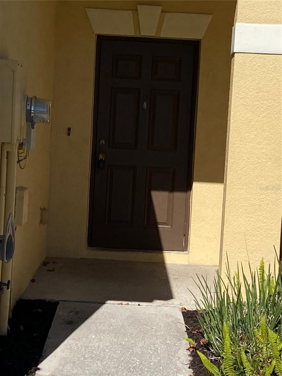 8556 Trail Wind Dr in Tampa, FL - Building Photo - Building Photo