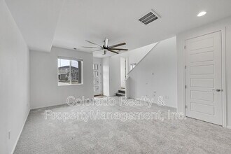 5332 Spalding Pl in Longmont, CO - Building Photo - Building Photo