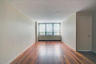 222 E Pearson St in Chicago, IL - Foto de edificio - Building Photo