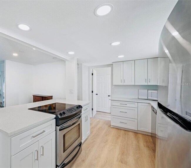 1902 Briarwood St in Dunedin, FL - Building Photo - Building Photo