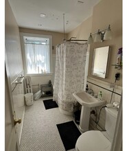 317 Saint Paul St, Unit 1 in Brookline, MA - Building Photo - Building Photo