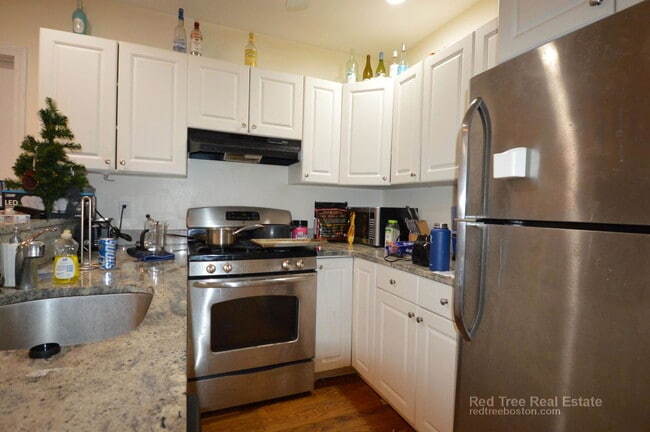 66 Egmont St in Brookline, MA - Building Photo - Building Photo