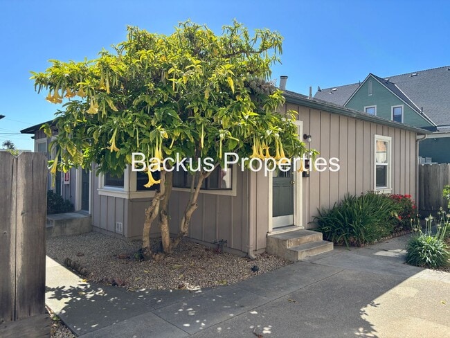 property at 155 Archer St