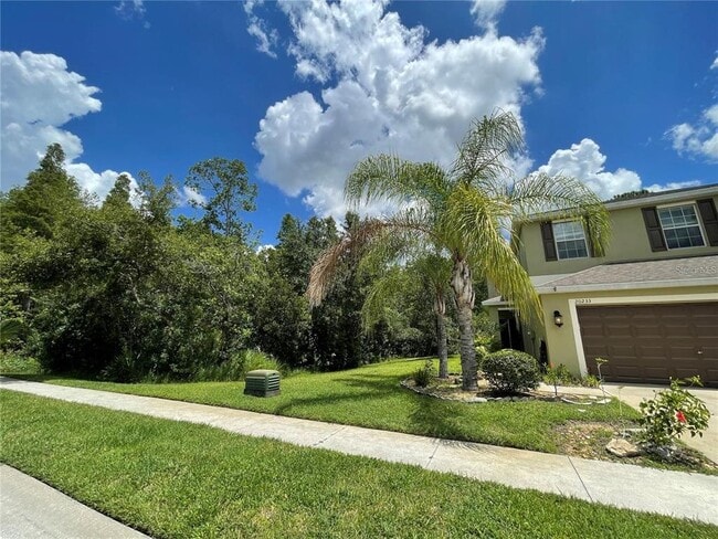 20233 Indian Rosewood Dr in Tampa, FL - Foto de edificio - Building Photo