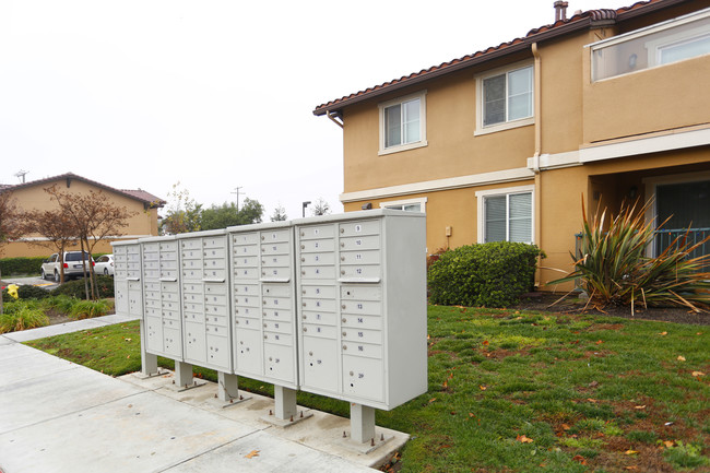 Sunny View Family Apartments I in Delano, CA - Building Photo - Building Photo