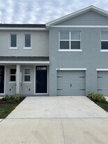 31306 Paper Birch St in Wesley Chapel, FL - Building Photo