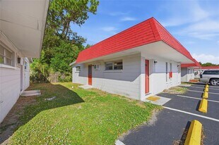 1302 Morris Park in Tampa, FL - Building Photo