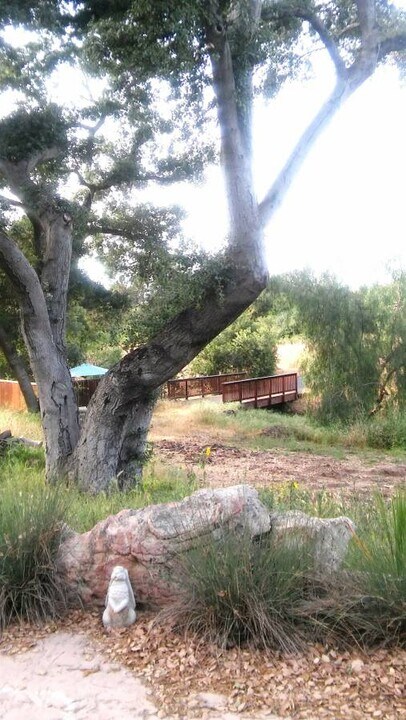 14519 Rios Canyon Rd in El Cajon, CA - Foto de edificio