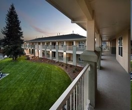 Almond Court in Manteca, CA - Building Photo - Building Photo