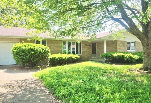 303 Jacobson Dr in Thomasboro, IL - Building Photo - Building Photo