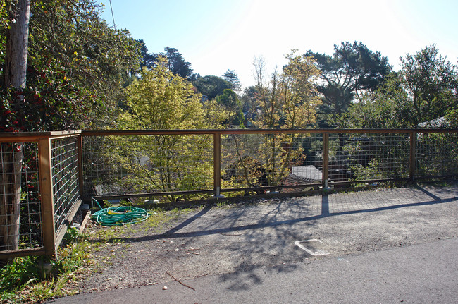 38 Cornelia Ave in Mill Valley, CA - Building Photo - Building Photo