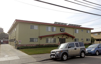 524 Buena Vista Ave in Alameda, CA - Building Photo
