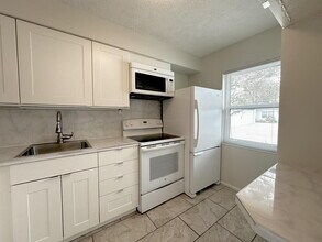 3662 Trophy Blvd in New Port Richey, FL - Building Photo - Building Photo