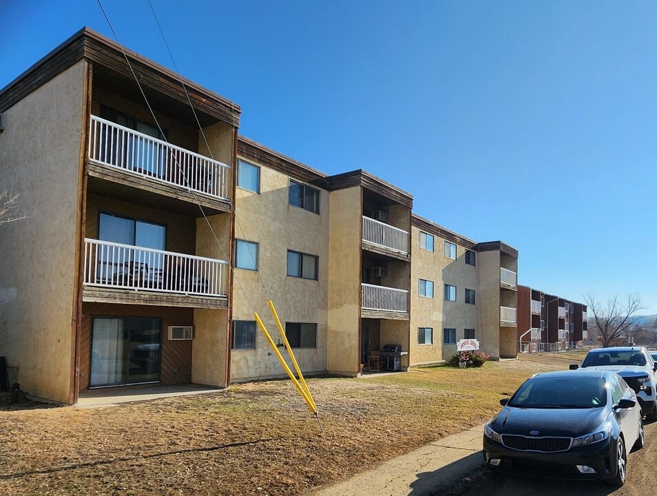 990 12 Av SE in Drumheller, AB - Building Photo