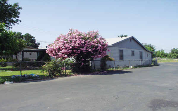 1811 S Olive Ave in Stockton, CA - Building Photo