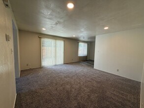 1013 Pinewood Dr in Sparks, NV - Building Photo - Building Photo