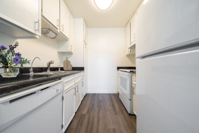 1440 Oak Dr in Vista, CA - Building Photo - Building Photo