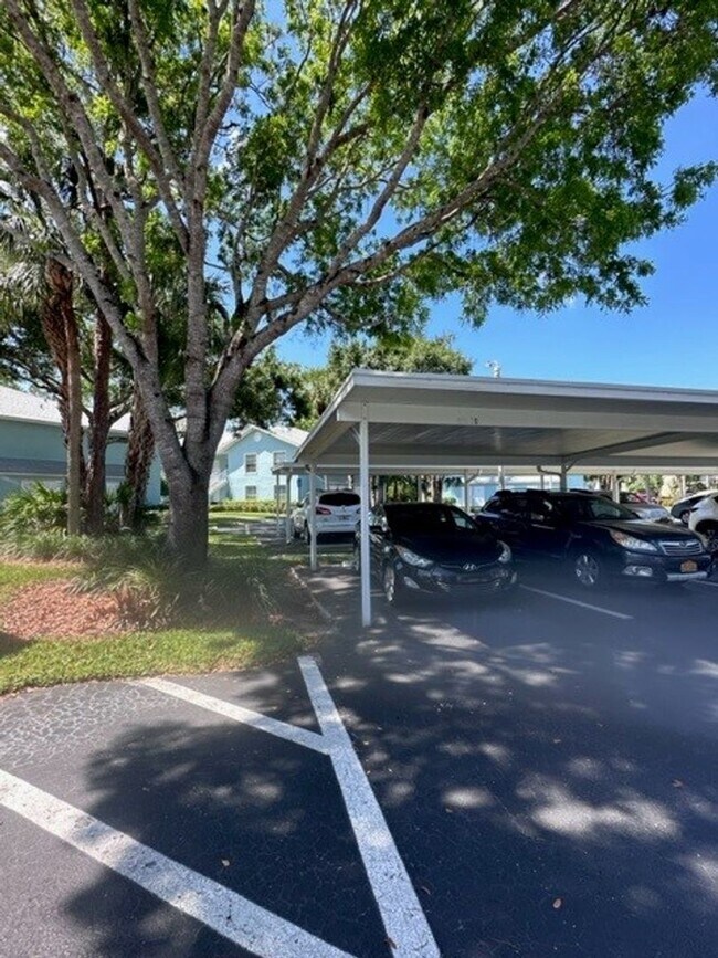 28230 Pine Haven Way in Bonita Springs, FL - Building Photo - Building Photo