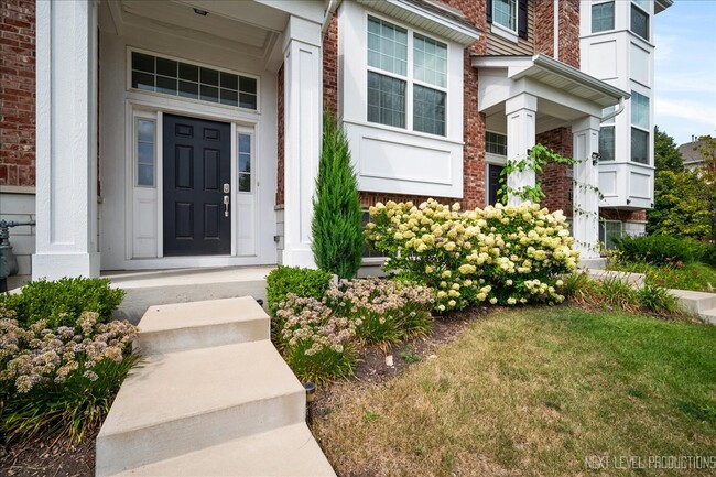 1913 Continental Ave in Naperville, IL - Foto de edificio - Building Photo