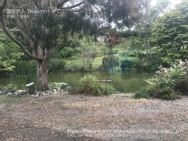 3571 Trinity St-Unit -#C in Eureka, CA - Building Photo - Building Photo