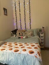 16 Edith Pl in Pittsburgh, PA - Foto de edificio - Building Photo