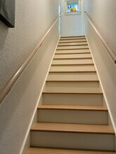 509 E Live Oak St, Unit Owl's Nest in Austin, TX - Building Photo - Building Photo