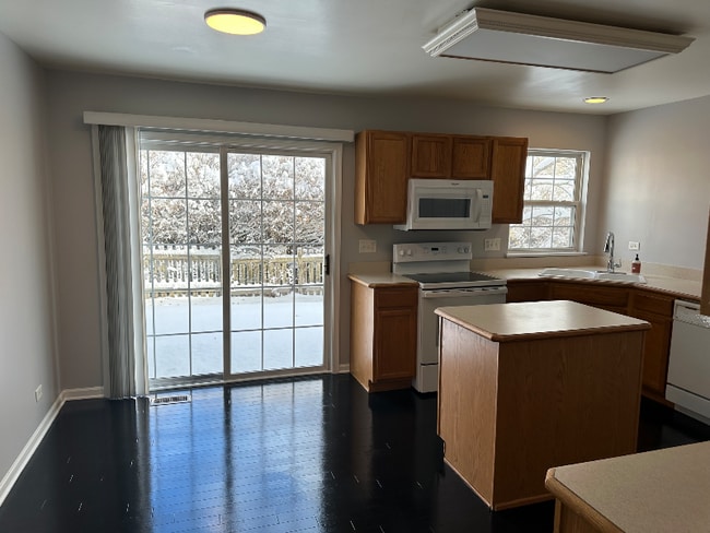 39153 Welsh Ln in Beach Park, IL - Building Photo - Building Photo