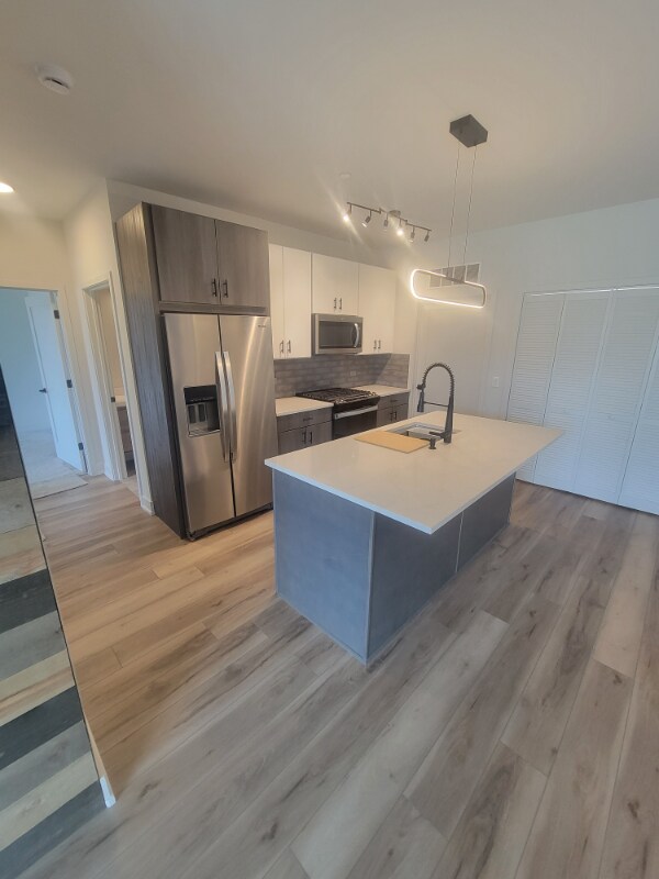 302 W Liberty Dr in Wheaton, IL - Building Photo - Building Photo
