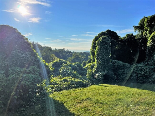 3210 Landview Dr in Knoxville, TN - Building Photo - Building Photo