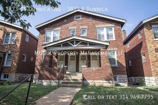 3833 Dunnica Ave in St. Louis, MO - Building Photo