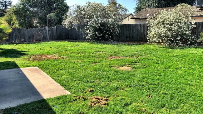 1715 E Mary Ave in Visalia, CA - Building Photo - Building Photo