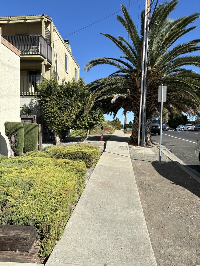 1825 Harrison St-Unit -Apt. 3 in Concord, CA - Building Photo - Building Photo