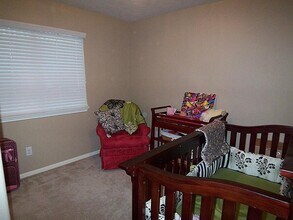 10838 Windfern Lakes St in Houston, TX - Building Photo - Building Photo
