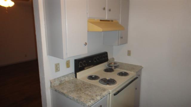 1115 Collier St in Denton, TX - Building Photo - Building Photo