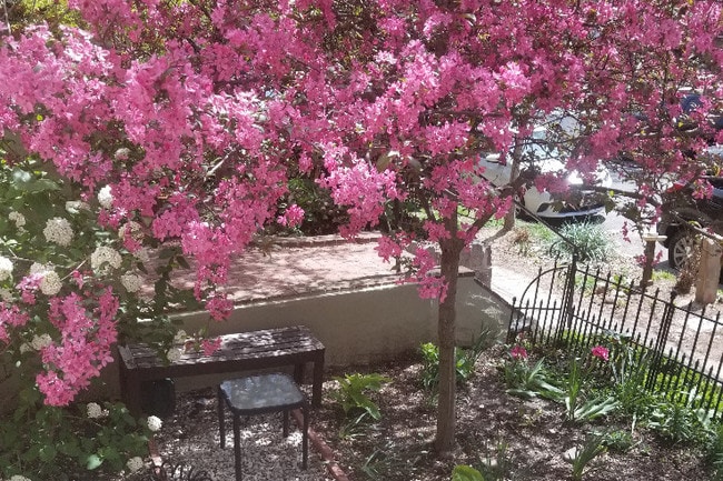 1745 Kilbourne Pl NW, Unit 2 in Washington, DC - Foto de edificio - Building Photo