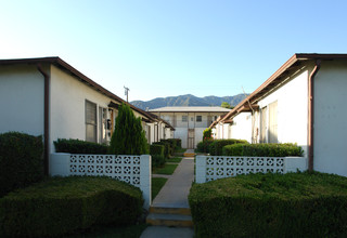 305 E Colorado Blvd in Monrovia, CA - Building Photo - Building Photo