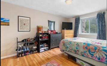 20 Radcliffe Rd, Unit 20 Radcliffe, #212 in Boston, MA - Building Photo - Building Photo