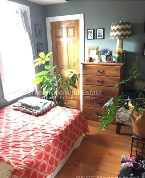 44-46 Ward St, Unit 2 in Boston, MA - Building Photo - Building Photo