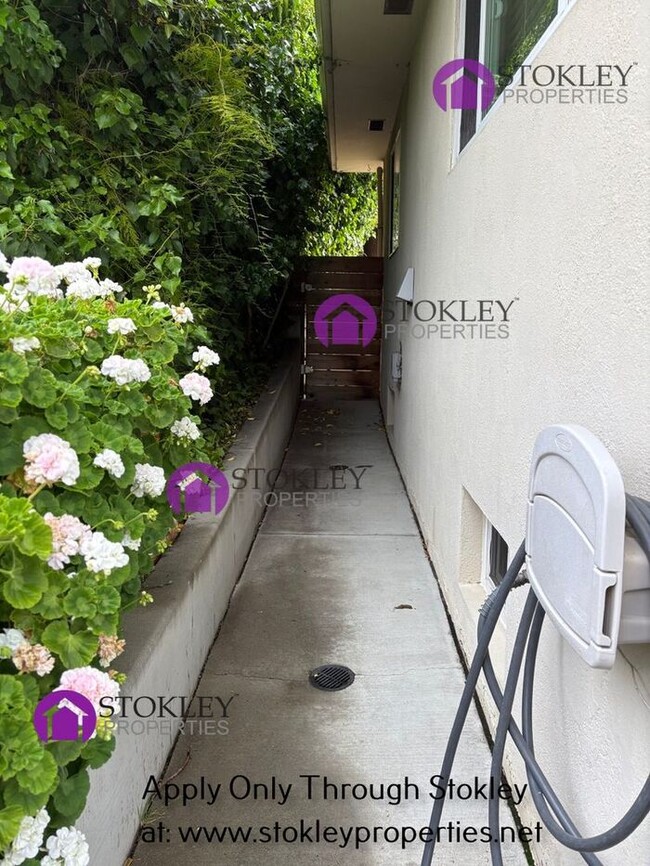 2461 Olive St in Martinez, CA - Foto de edificio - Building Photo