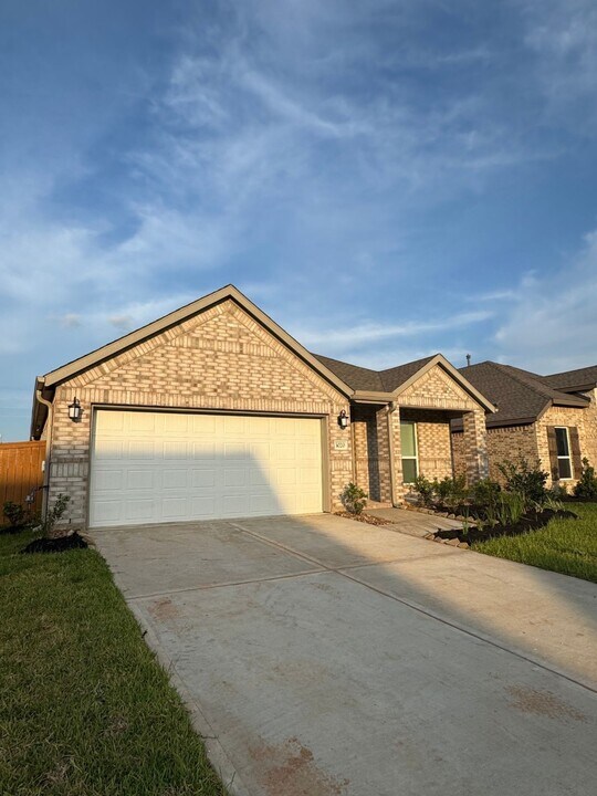 3020 Pintail Green Dr in Park Row, TX - Building Photo
