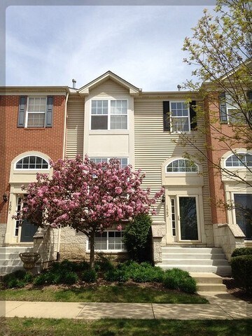 125 Rachel Rd in Willow Springs, IL - Building Photo - Building Photo