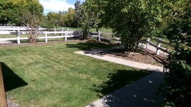 217 Rock Bridge Ln in Windsor, CO - Foto de edificio - Building Photo