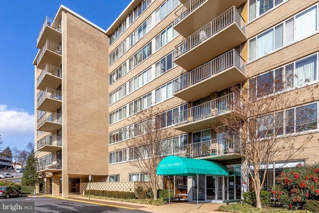 5565 Columbia Pike-Unit -212 in Arlington, VA - Building Photo - Building Photo