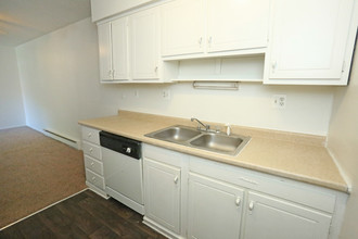 Grand River Ridge in Jackson, MI - Foto de edificio - Interior Photo
