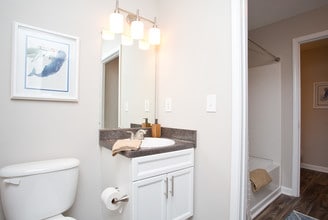 1322 North Apartments in Auburn, AL - Building Photo - Interior Photo