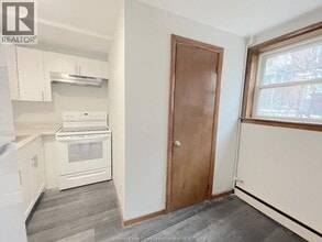 335 Detroit St in Windsor, ON - Foto de edificio - Building Photo